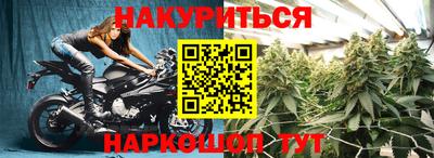 не бодяженный Гай