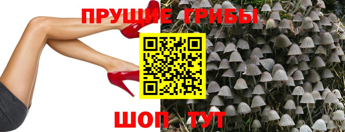 Назарово  Псилоцибиновые грибы Psilocybine cubensis  Вход с VPN 